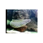 Отзывы людей о Аквадизайнер - Москва, Путевой проезд, 1с1