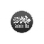 Отзывы людей о Kalinkin нill - Москва, проспект Мира, 119с12