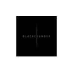 Отзывы людей о Blackchamber - Москва, Большой Дровяной переулок, 20с2