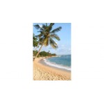 Отзывы людей о JMT - Москва, Ленинский проспект, 42к5