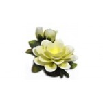 Отзывы людей о Экопроекты - Санкт-Петербург, Заставская улица, 7Б