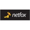 Netfox - Санкт-Петербург, улица Константина Заслонова, 17