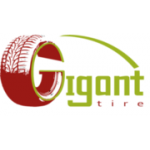 Отзывы людей о Гигант тайр - Санкт-Петербург, 3-я Конная Лахта, 48к2Б