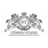 Stebnev-Studio - Воронеж, улица Свободы, 73