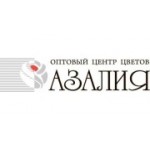 Отзывы людей о Азалия - Москва, 3-я Магистральная улица, 12с1