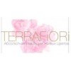 TerraFiori - Санкт-Петербург, Большая Конюшенная улица, 13