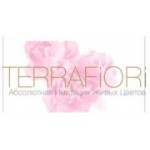 Отзывы людей о TerraFiori - Санкт-Петербург, Большая Конюшенная улица, 13