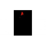 Отзывы людей о Нефертити - Санкт-Петербург, улица Савушкина, 128к1