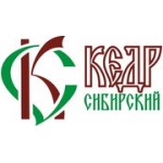 Отзывы людей о Кедр Сибирский - Санкт-Петербург, Лиговский проспект, 194