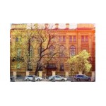 Отзывы людей о Школа № 206 - Санкт-Петербург, набережная реки Фонтанки, 62