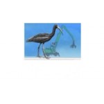 Отзывы людей о Ибис - Санкт-Петербург, проспект Стачек, 47А