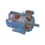 Отзывы людей о Луан Моторс - Санкт-Петербург, Заставская улица, 14АБ