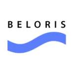 Отзывы людей о Интернет-магазин Beloris.ru - Воронеж, Солнечная улица, 31А