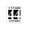 Архитектурное бюро Студия 44 - Санкт-Петербург, Манежный переулок, 1/4