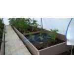 Отзывы людей о Грядки СПб - Санкт-Петербург, набережная Обводного канала, 150