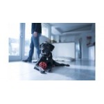 Отзывы людей о Евроветцентр - Москва, Машкинское шоссе, 15