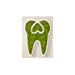 Отзывы людей о Стоматология Студия 32 - Санкт-Петербург, Казначейская улица, 4/16