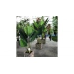 Отзывы людей о Компания Toppla Portable Toilet Co., Ltd - Санкт-Петербург, Фурштатская улица, 15