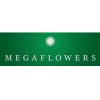 MegaFlowers - Москва, улица Волхонка, 15