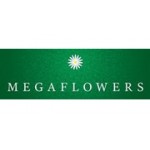 Отзывы людей о MegaFlowers - Москва, улица Волхонка, 15