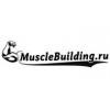 MuscleBuilding - Москва, Нижняя Красносельская улица, 40/12к20