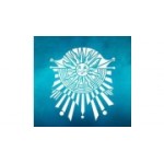 Отзывы людей о Цирк дю солей рус - Москва, Малая Пироговская улица, 14