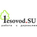 Отзывы людей о Лесовод - Москва, Каширский проезд, 17