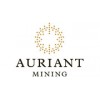 Auriant Mining AB - Москва, Верейская улица, 29