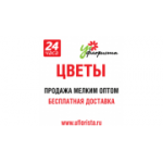 Отзывы людей о Цветы у Флориста - Москва, Башиловская улица, 3к1