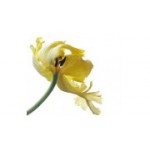 Отзывы людей о Салон Veronika - Москва, Ленинский проспект, 43