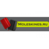 Интернет-магазин Moleskines.ru - Москва, улица Покровка, 45с6