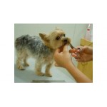 Отзывы людей о Зоосалон Dog&SPA - Москва, проезд Нансена, 4к2