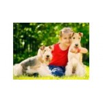 Отзывы людей о Монморанси - Москва, улица Газопровод, 6Б