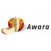 Компания Awara IT Solutions - Санкт-Петербург, Дворцовая площадь, 4